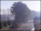 Là derrière vous dans
les champs vous
observerez les oiseaux...