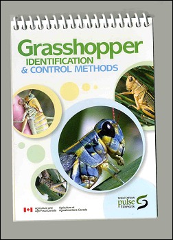 Grasshoper IDENTIFICATION & CONTROL METHODS