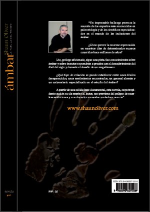 Ambre - Le roman - Verso 