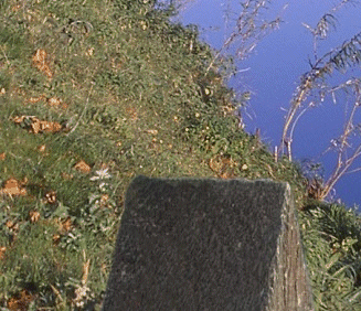La vie des oiseaux
au Parc du Morvan 